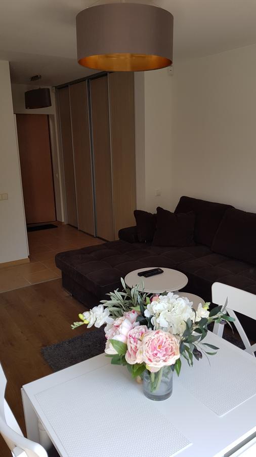 Ferienwohnung Cozy Garden Free Parking Wilna Exterior foto